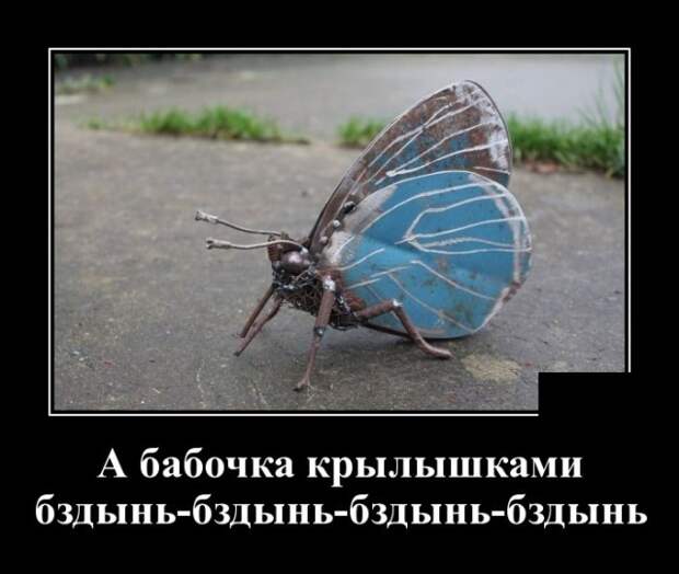 Демотиваторы (30 фото)