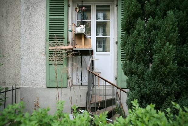 Феномен кошачьих лестниц в Швейцарии