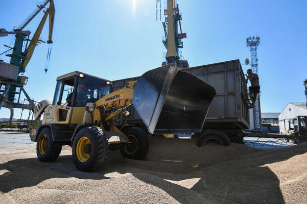 Две страны резко снизили импорт российской пшеницы