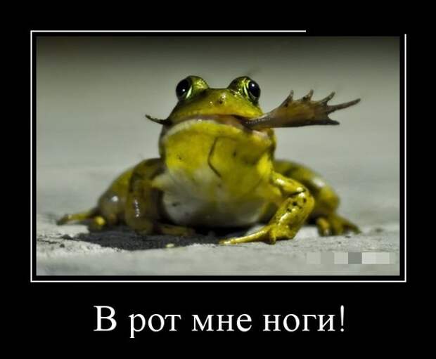 Демотиваторы (30 фото)