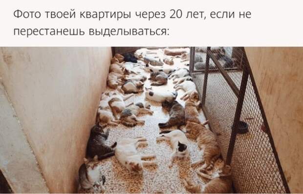 Перестань выделываться)