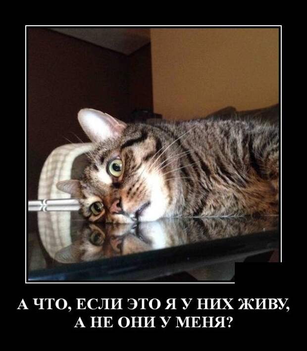 Демотиваторы (30 фото)