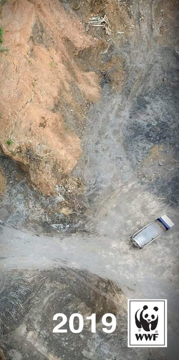 Климатические изменения от экологических организаций в стиле 10YearChallenge