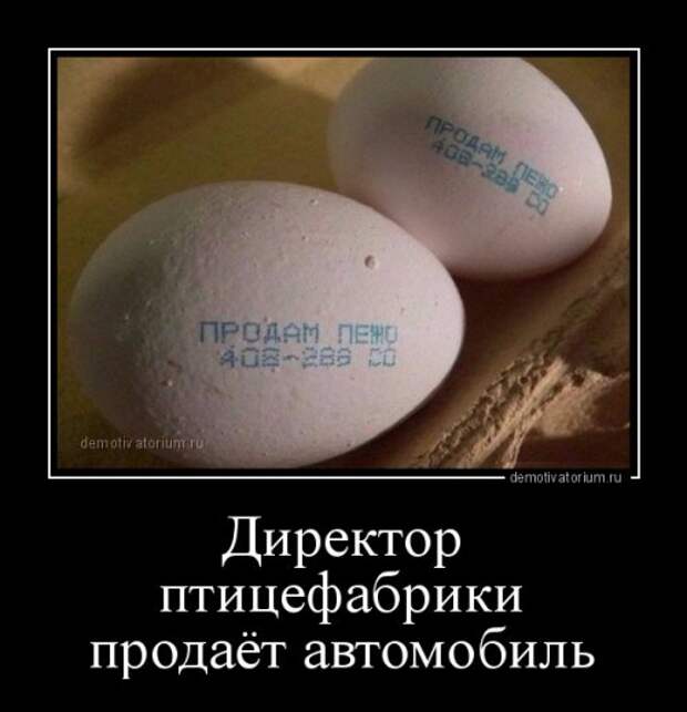 1476430028_demotivatory-5