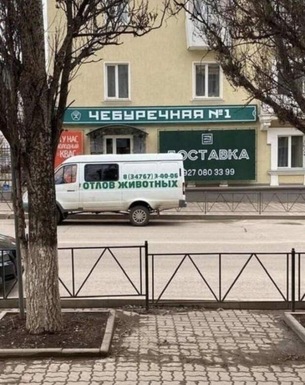 203759_13_trinixy_ru.jpg