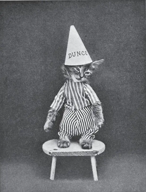 :   ,  ,        21 - BigPicture.ru