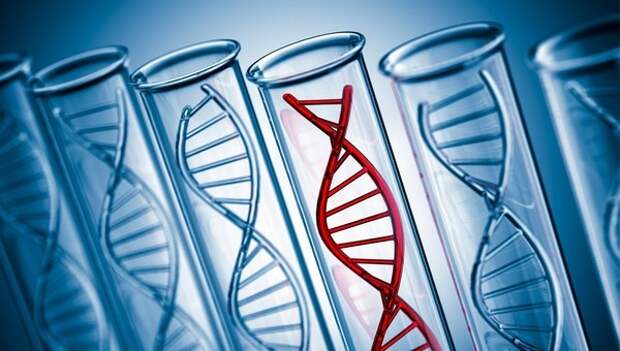 Анализ крови вместо биопсии: как жидкая биопсия меняет лечение рака груди