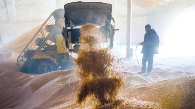 "Путин над нами издевается": российская пшеница стала новой нефтью, удобрения - новым газом