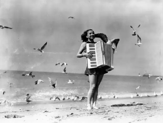 Музыка привлекла немало чаек. Музыка привлекла немало чаек.