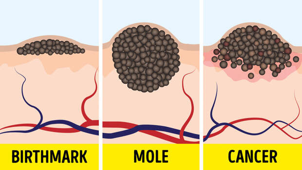 1027510-20972460-5-0-1527501247-1527501250-1500-1-1527501250-728-52f713683e-1527613224