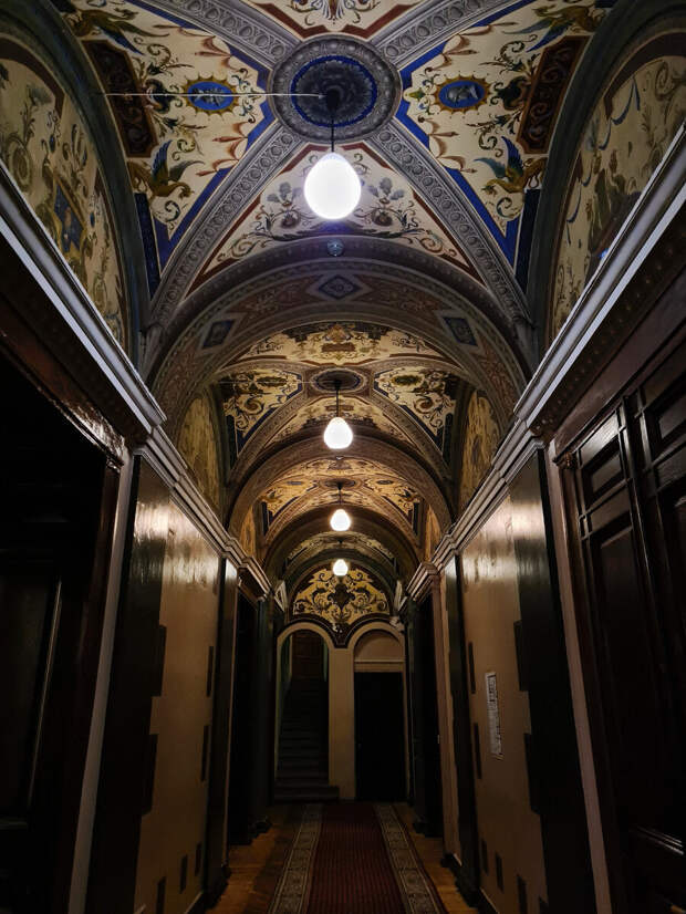 Фото: Парадная гостья