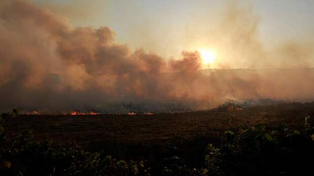 В ЦАХАЛ заявили о пожарах в Израиле после атак с территории Ливана