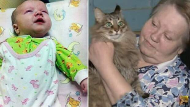 Его бросили в холодный подвал в разгар лютой зимы… Если бы не эта кошка, то он бы просто не выжил!