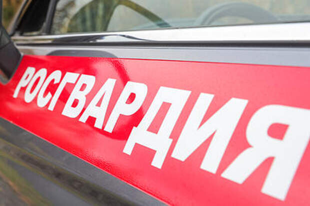 Крики и люди бегут: стрельба произошла возле техникума в Анапе, два человека ранены