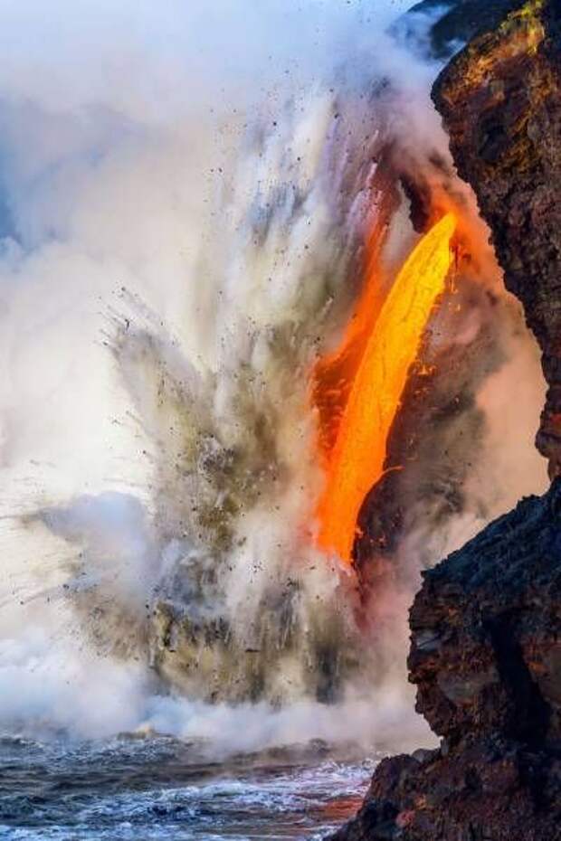 Свежие и веселые картинки для настроения (11 фото)