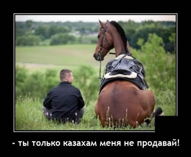 Демотиватор про лошадь