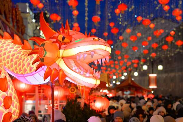 "Литрес": Дракон возглавил топ самых читающих знаков восточного календаря