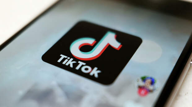 Генпрокурора попросили проверить TikTok-дома 