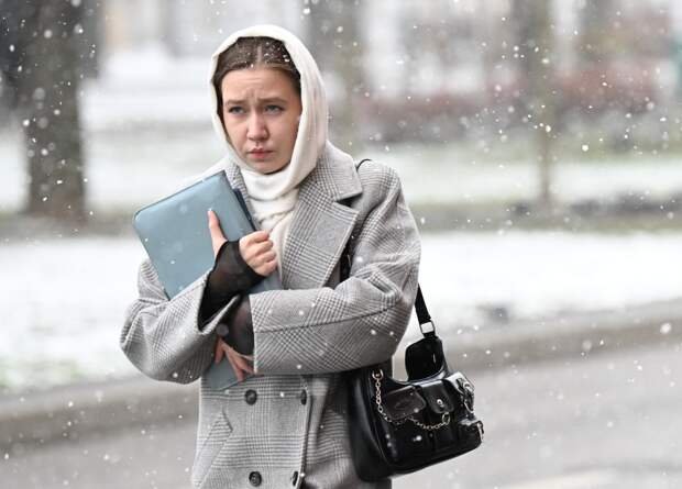 В Москве пошел снег