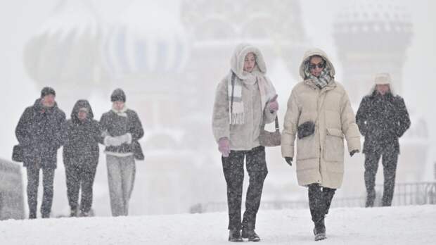 Вильфанд спрогнозировал продолжительные морозы в Москве