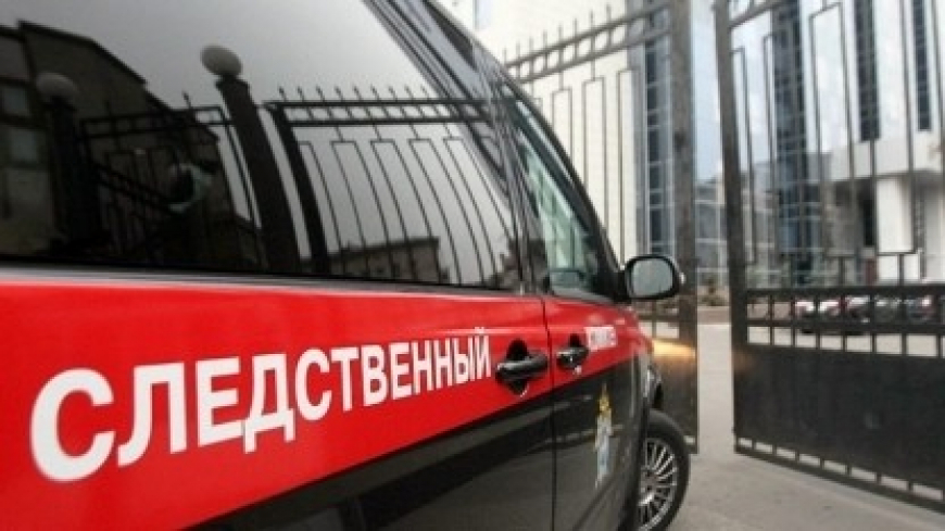 Полиция задержала мужчину, ударившего бойца ОМОН на митинге в Петербурге