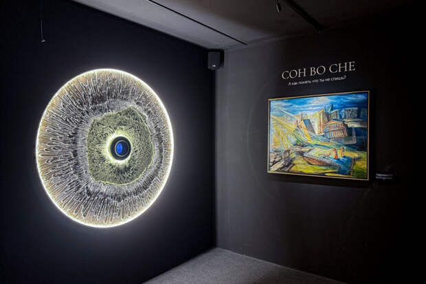 В ЦСИ М’АРС впервые в мире будет представлена  Библиотека сновидений «Сон в музее»