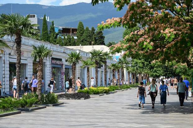 В Крыму высадят 5 тысяч пальм