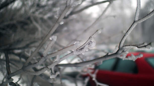 Ледяные дожди накроют Москву к концу недели