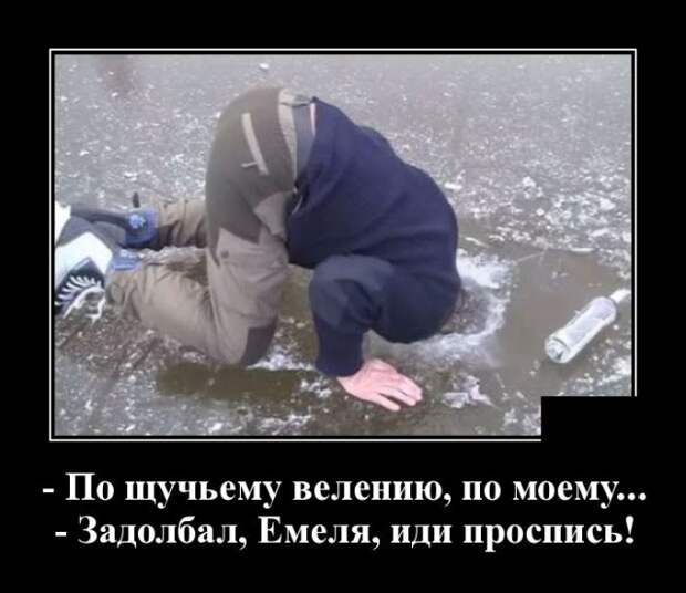 www.vsyako.net