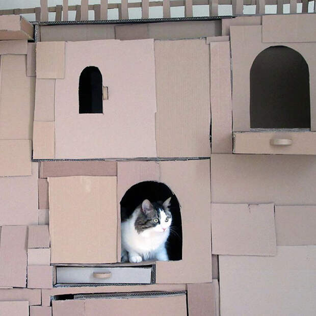 cardboard-ark-structure-cat-prefabcat-3