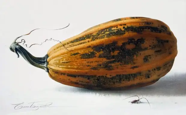 �������� ��������� ��������� �����. ����� 1. ���������� � ������� � �������.