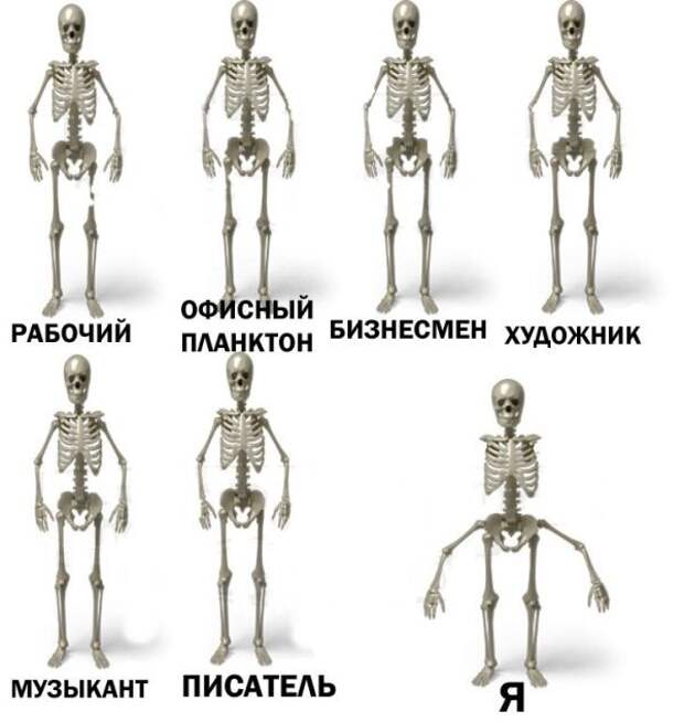 Прикольные картинки Прикольные картинки