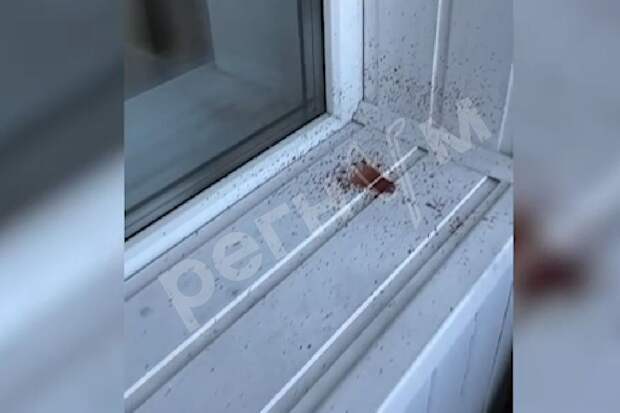 Балкон жительницы Якутска затопило кровью с верхнего этажа