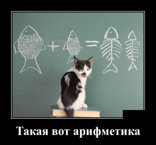 www.vsyako.net