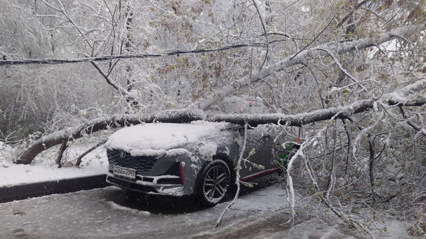 Разбитая машина и прогулки в сугробах: российские звезды в шоке от снега весной