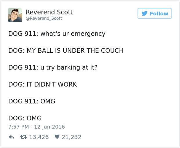 Dog Tweets