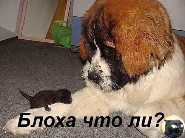 Любимый, а что ты сделаешь? Если узнаешь, что я тебе изменяю...