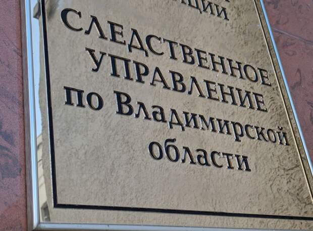 Во Владимире отец пожаловался главе СК России на плохое лечение маленького сына