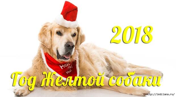 2018 Год - Желтой Земляной Собаки по Восточному Календарю