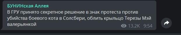 Морские свинки это не выдержали: «Россия 24» рассказала о сожжении кота Скрипаля из огнемета