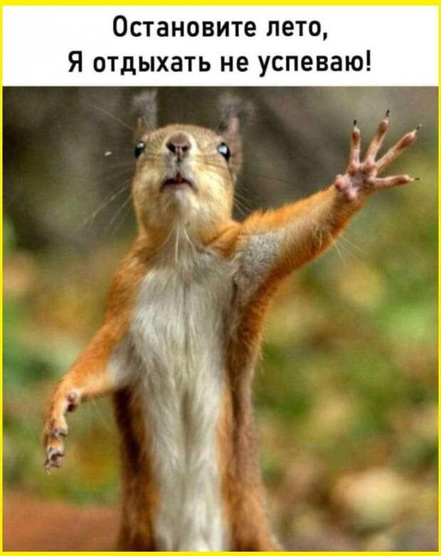 Юмор на сон грядущий