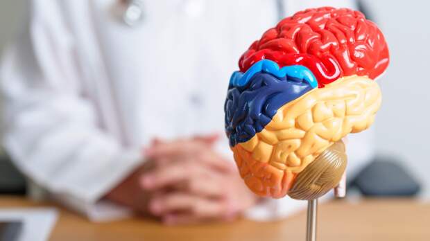 Yahoo: творческие люди чаще забывают, зачем вошли в другую комнату