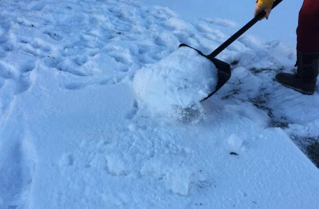 Власти призывают образовательные учреждения подготовиться к снегопаду