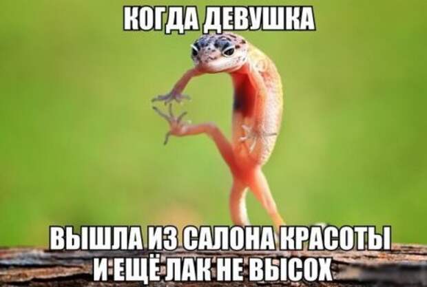 1470040364_smk-10