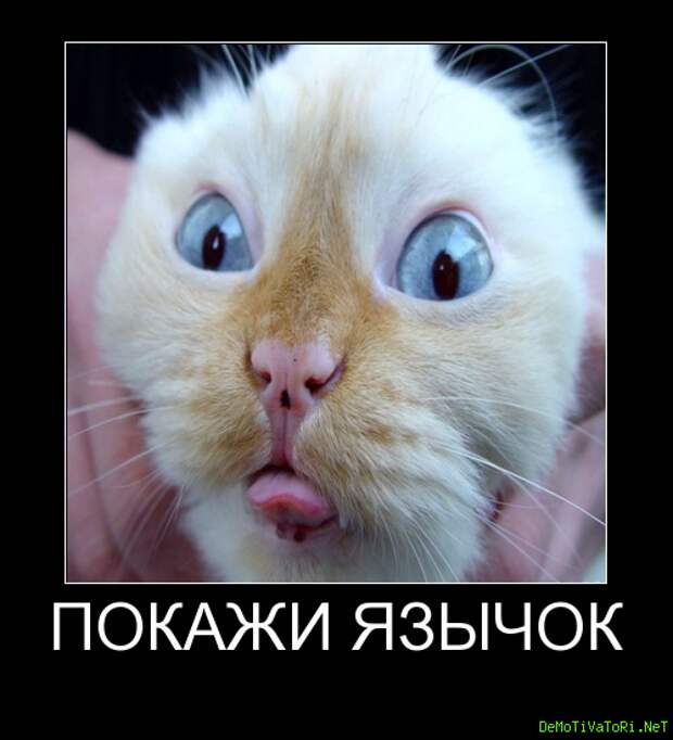 4fe943e7551de5a0692d544acf129ccb