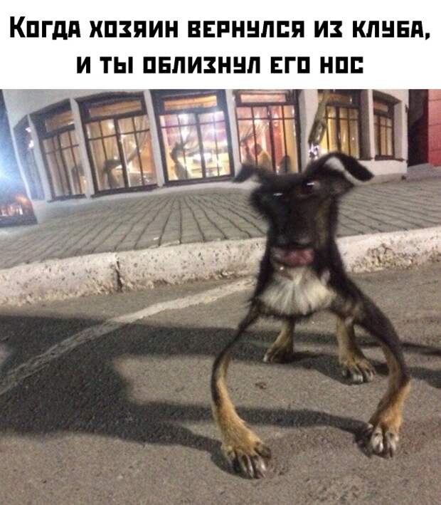 www.vsyako.net