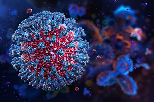 Nature: коронавирусы научились подбирать к клеткам человека биологические ключи