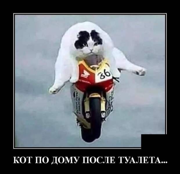 www.vsyako.net