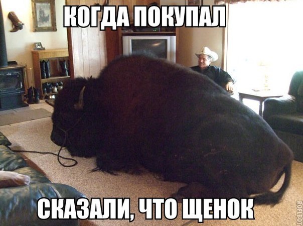ZTKtN7MGfCg