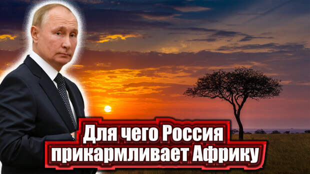 Зерновая сделка весной так и не была продлена. Москва в этом случае обещала поставить Африке, а точнее именно нуждающимся ее государствам, зерно на безвозмездной основе.
